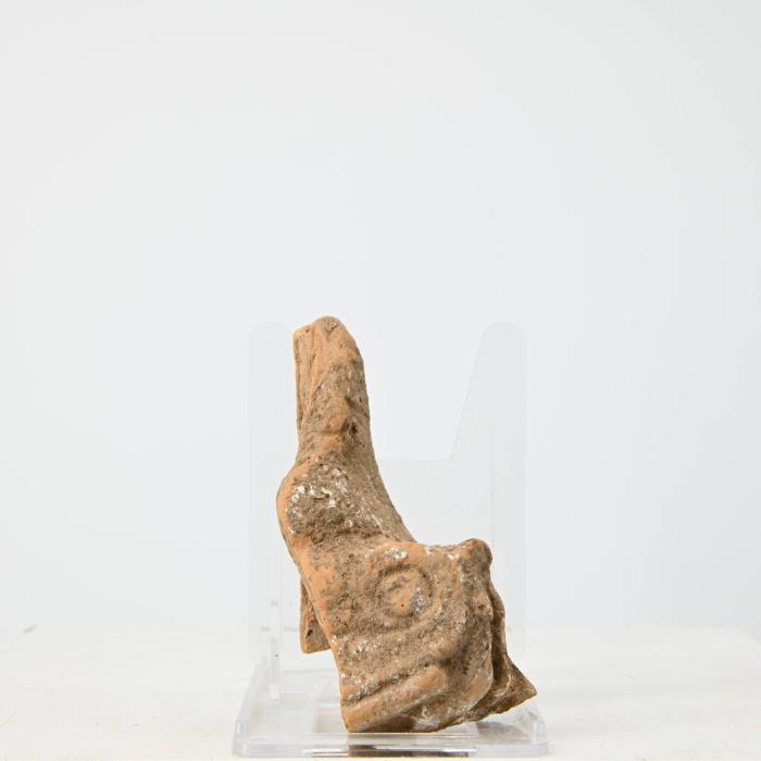 Unbestimmtes Fragment