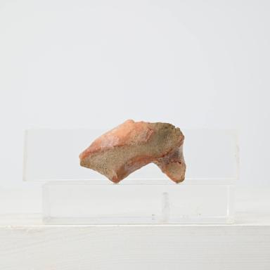 Unbestimmtes Fragment