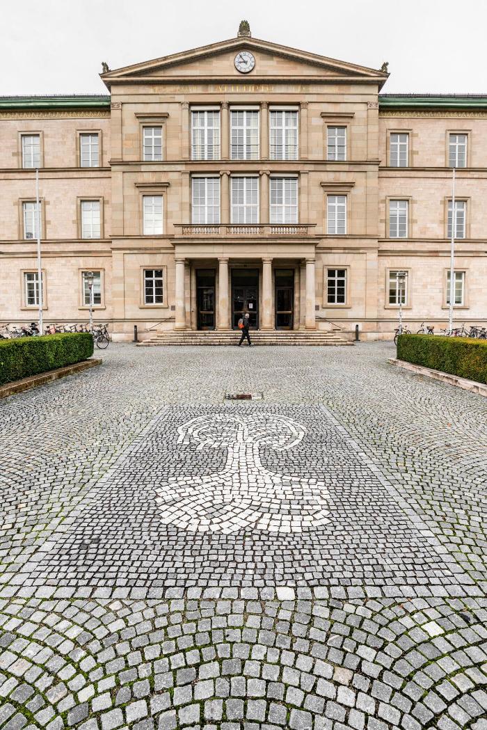 Attempto-Palmen-Bodenmosaik