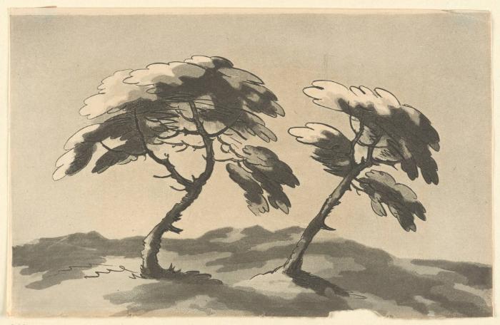 "Twisted Trees" (An illustration of a tree, that is in his maturity, has gotten an inclined twist by the wind, an of one that has recovered from such a twist by growth)