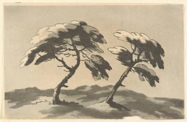 "Twisted Trees" (An illustration of a tree, that is in his maturity, has gotten an inclined twist by the wind, an of one that has recovered from such a twist by growth)