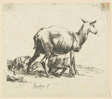 Tierstudie