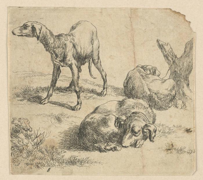 Hunde