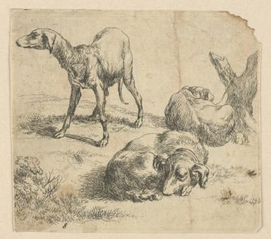 Hunde