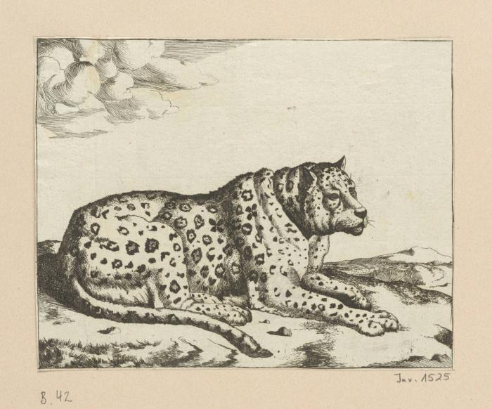 Blatt aus der Serie: Leoparden