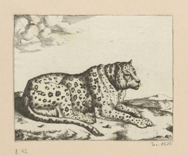 Blatt aus der Serie: Leoparden