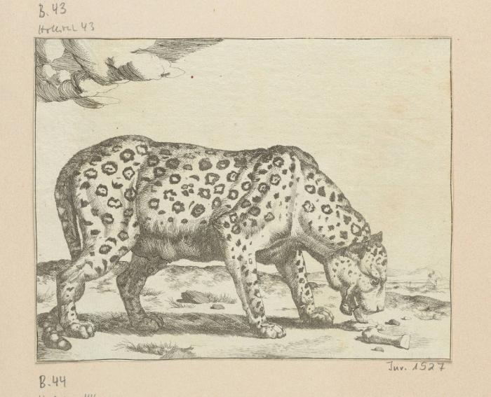 Blatt aus der Serie: Leoparden