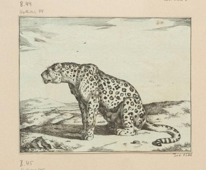 Blatt aus der Serie: Leoparden