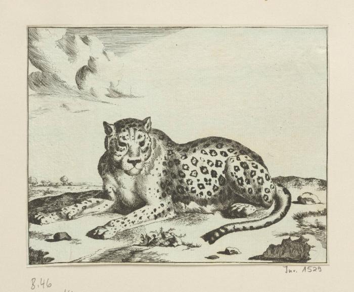 Blatt aus der Serie: Leoparden