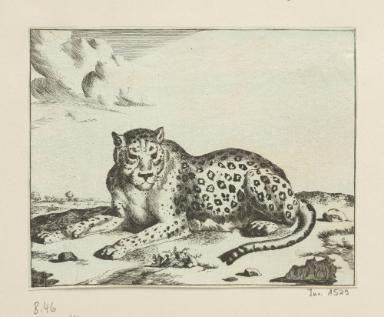 Blatt aus der Serie: Leoparden