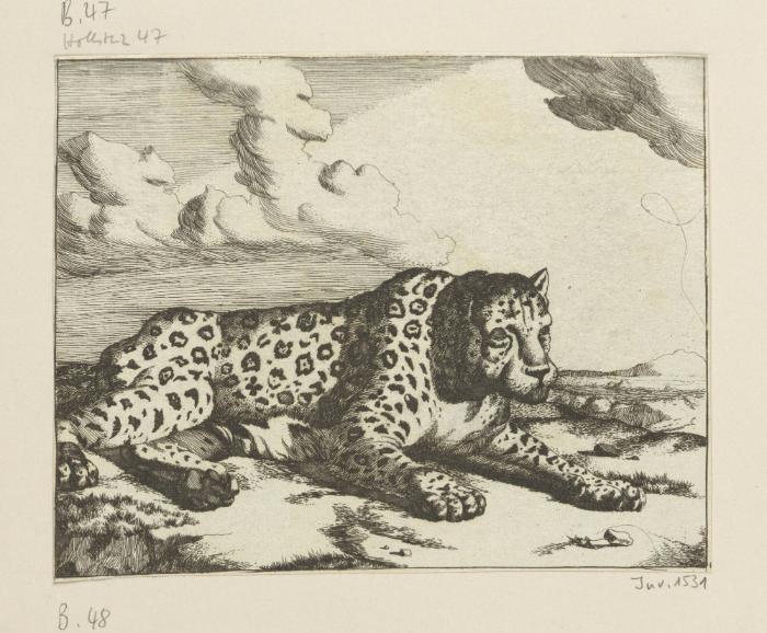 Blatt aus der Serie: Leoparden