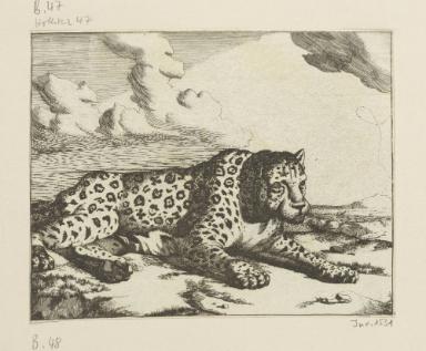 Blatt aus der Serie: Leoparden