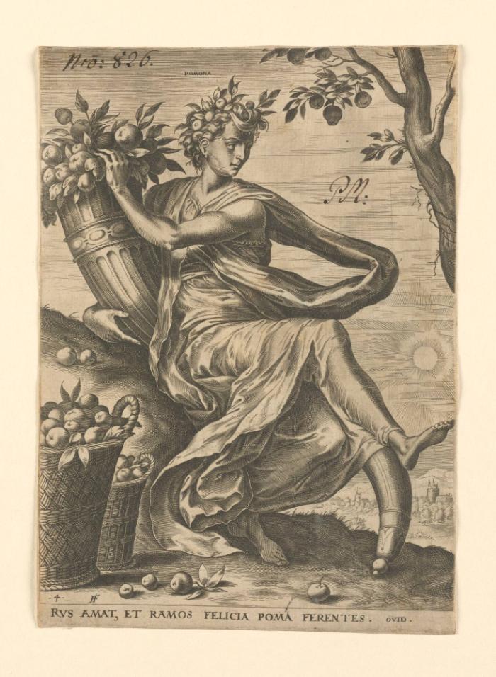 Pomona
