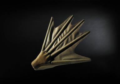 Schwimmflossen-Handschuh