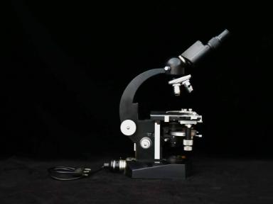 Microskop Beck Kassel CBS