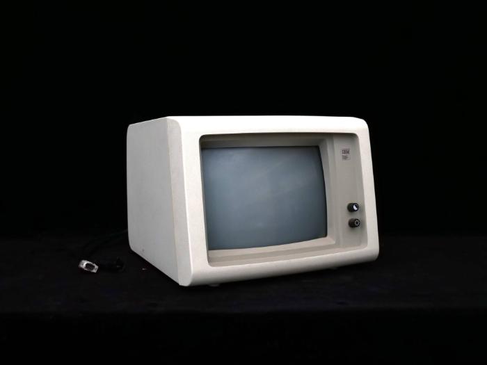 Monitor IBM 5151002
