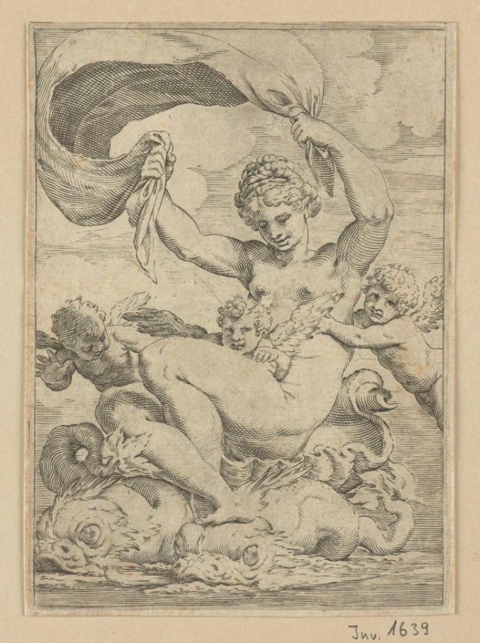 Venus auf Delphinen