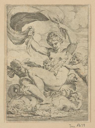 Venus auf Delphinen