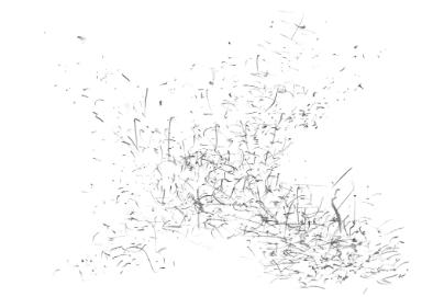Ohne Titel