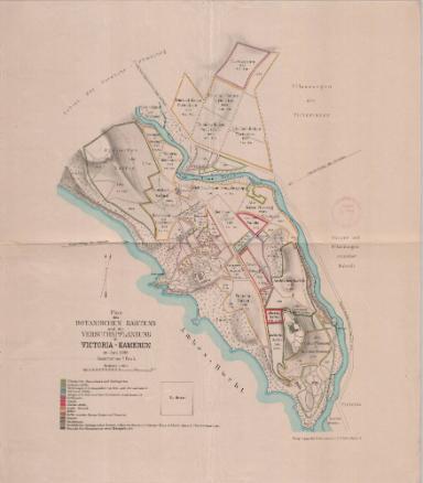 Plan des botanischen Gartens und der Versuchspflanzung in Victoria-Kamerun