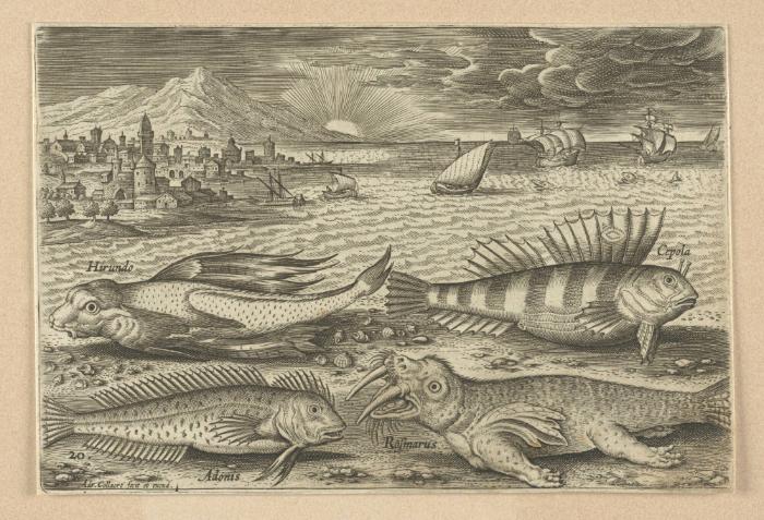 Bildnachweis: Graphische Sammlung am Kunsthistorischen Institut der Universität Tübingen