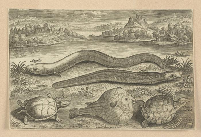 Bildnachweis: Graphische Sammlung am Kunsthistorischen Institut der Universität Tübingen