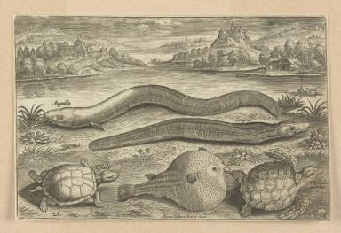 Bildnachweis: Graphische Sammlung am Kunsthistorischen Institut der Universität Tübingen