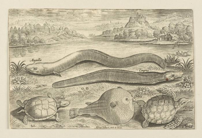 Bildnachweis: Graphische Sammlung am Kunsthistorischen Institut der Universität Tübingen