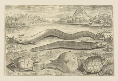 Bildnachweis: Graphische Sammlung am Kunsthistorischen Institut der Universität Tübingen