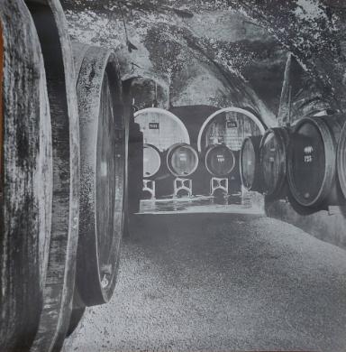 Fotografie von einem Gewölbekeller mit Weinfässer