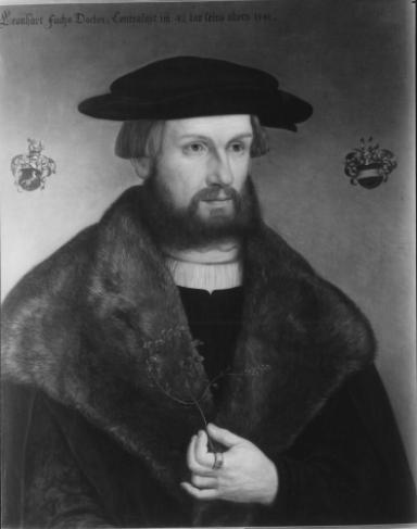 Fuchs, Leonhart