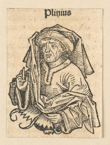 Schedelsche Weltchronik - Gelehrte: Plinius (111r)
