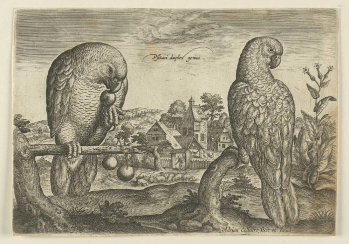 Bildnachweis: Graphische Sammlung am Kunsthistorischen Institut der Universität Tübingen