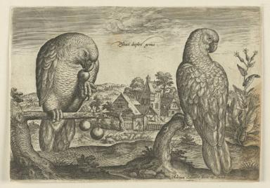 Bildnachweis: Graphische Sammlung am Kunsthistorischen Institut der Universität Tübingen