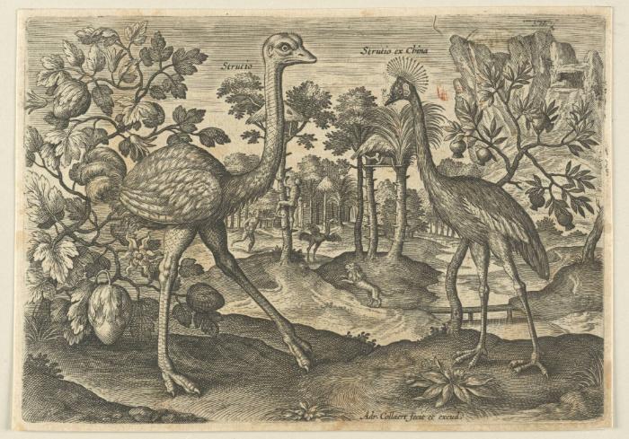 Bildnachweis: Graphische Sammlung am Kunsthistorischen Institut der Universität Tübingen