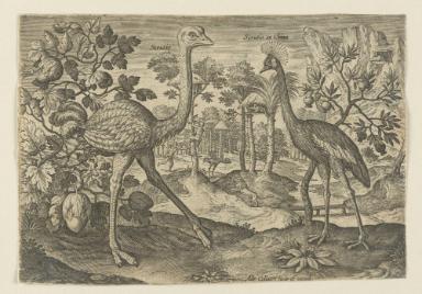 Bildnachweis: Graphische Sammlung am Kunsthistorischen Institut der Universität Tübingen