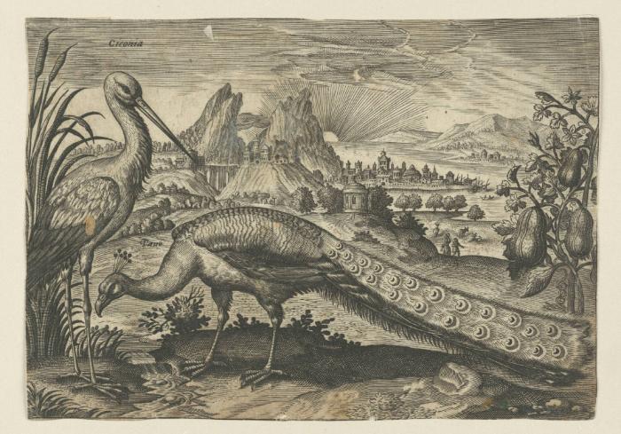 Bildnachweis: Graphische Sammlung am Kunsthistorischen Institut der Universität Tübingen