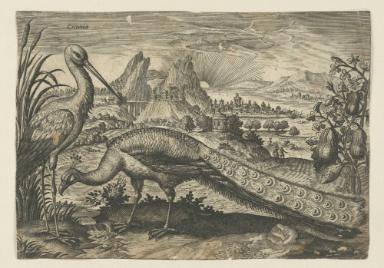 Bildnachweis: Graphische Sammlung am Kunsthistorischen Institut der Universität Tübingen