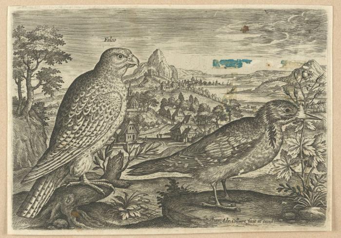 Bildnachweis: Graphische Sammlung am Kunsthistorischen Institut der Universität Tübingen