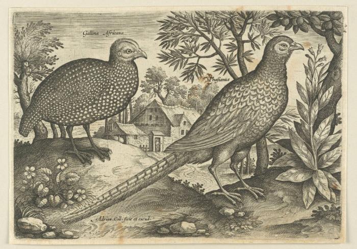 Bildnachweis: Graphische Sammlung am Kunsthistorischen Institut der Universität Tübingen