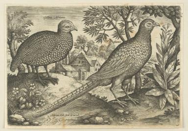 Bildnachweis: Graphische Sammlung am Kunsthistorischen Institut der Universität Tübingen