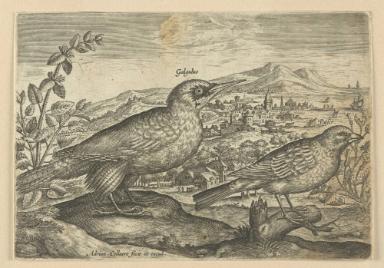 Bildnachweis: Graphische Sammlung am Kunsthistorischen Institut der Universität Tübingen