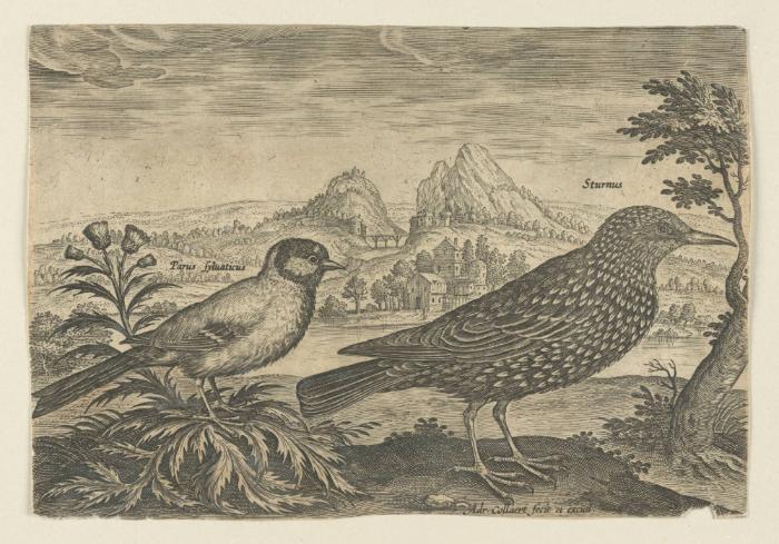 Bildnachweis: Graphische Sammlung am Kunsthistorischen Institut der Universität Tübingen
