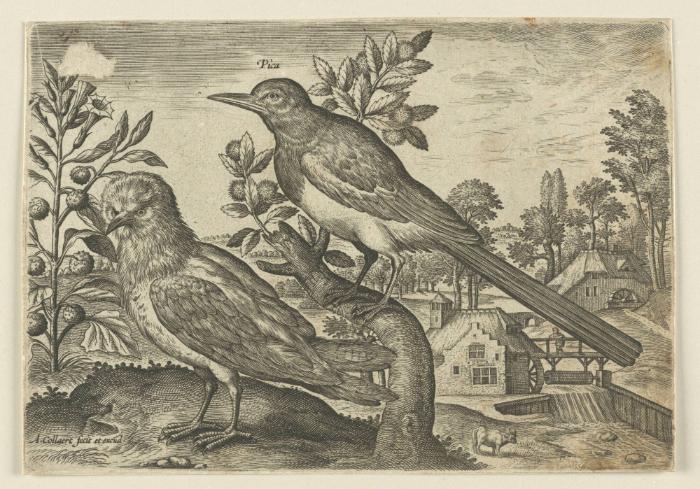 Bildnachweis: Graphische Sammlung am Kunsthistorischen Institut der Universität Tübingen