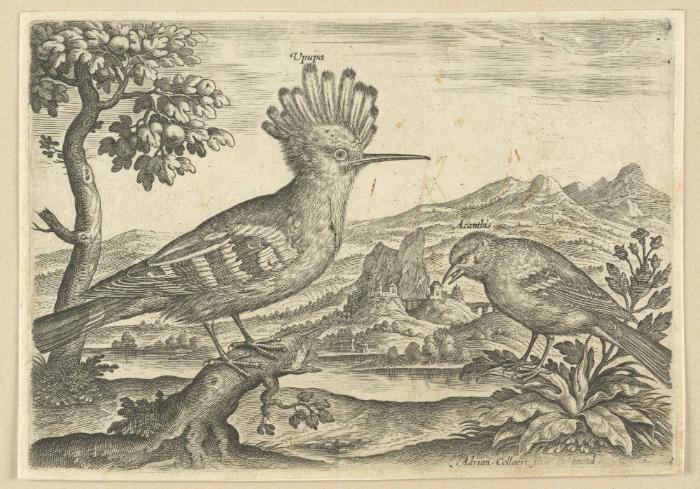 Bildnachweis: Graphische Sammlung am Kunsthistorischen Institut der Universität Tübingen