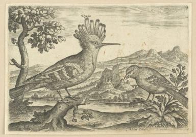 Bildnachweis: Graphische Sammlung am Kunsthistorischen Institut der Universität Tübingen