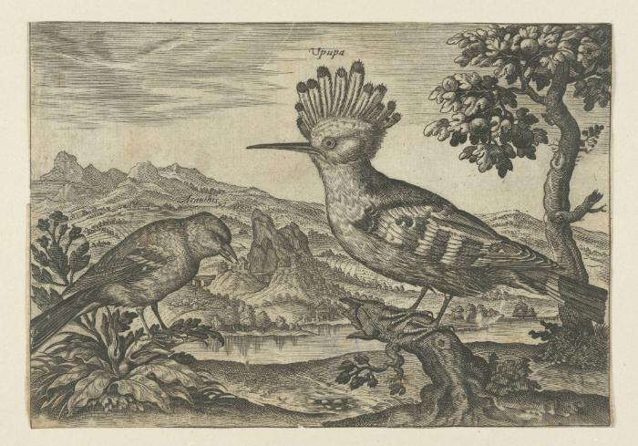 Bildnachweis: Graphische Sammlung am Kunsthistorischen Institut der Universität Tübingen