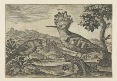 Bildnachweis: Graphische Sammlung am Kunsthistorischen Institut der Universität Tübingen