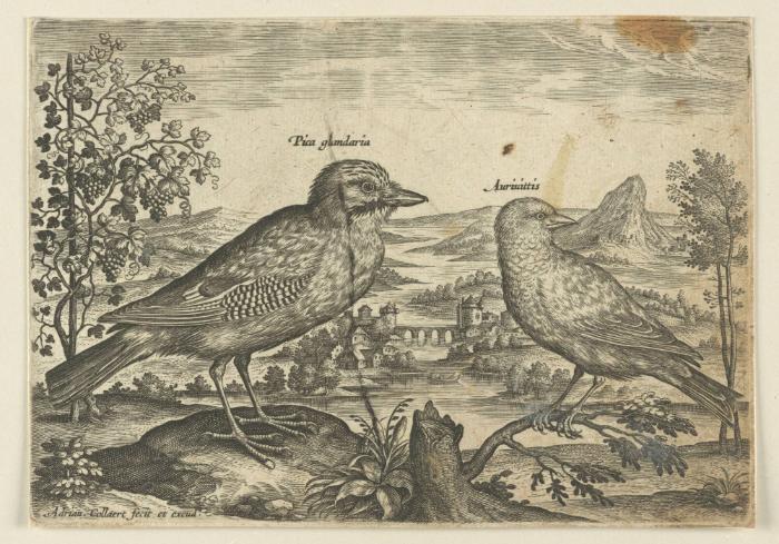 Bildnachweis: Graphische Sammlung am Kunsthistorischen Institut der Universität Tübingen