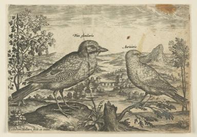 Bildnachweis: Graphische Sammlung am Kunsthistorischen Institut der Universität Tübingen